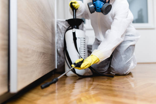 Flea Control Services in Adair Village, OR
