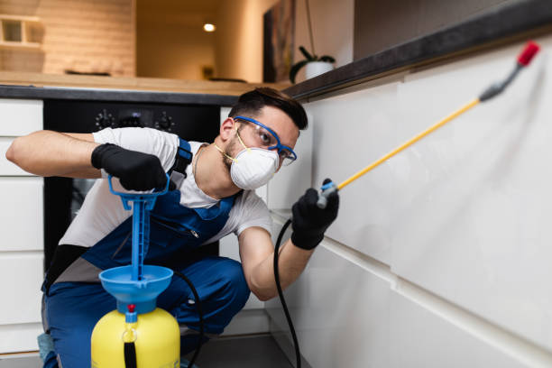 Best Affordable Pest Control Services  in Adair Village, OR