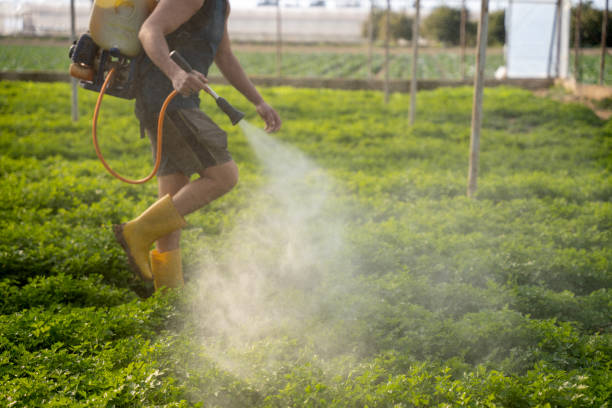 Best Mosquito Control Services  in Adair Village, OR