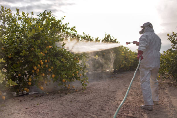  Adair Village, OR Pest Control Pros