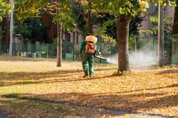 Best Local Pest Control Services  in Adair Village, OR