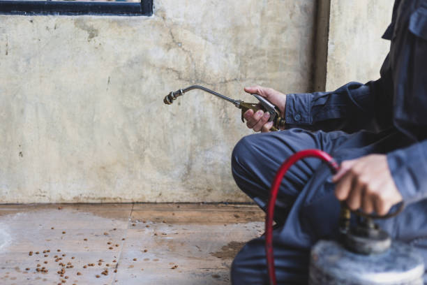 Best Rat Extermination Near Me  in Adair Village, OR