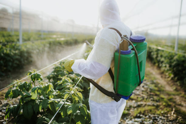 Best Cockroach Control Services  in Adair Village, OR